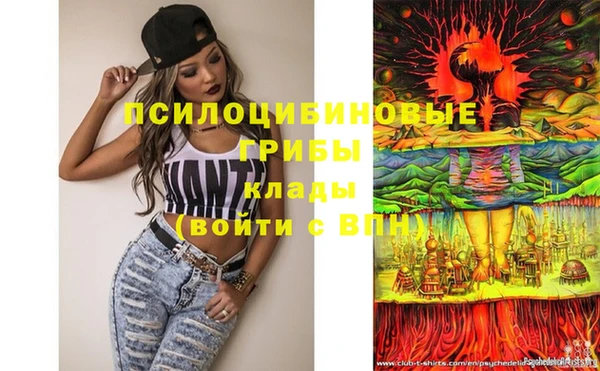 мдпв Бугульма