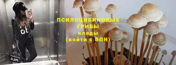 ПСИЛОЦИБИНОВЫЕ ГРИБЫ Бронницы