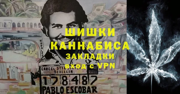 ПСИЛОЦИБИНОВЫЕ ГРИБЫ Бронницы